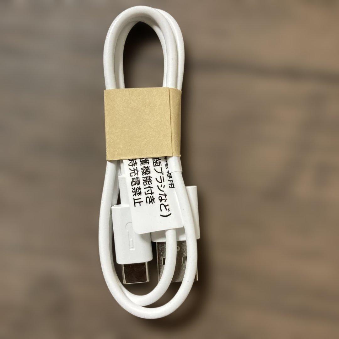 パナソニック ラムダッシュ パームインシェーバー　五枚刃　ES-PV3A