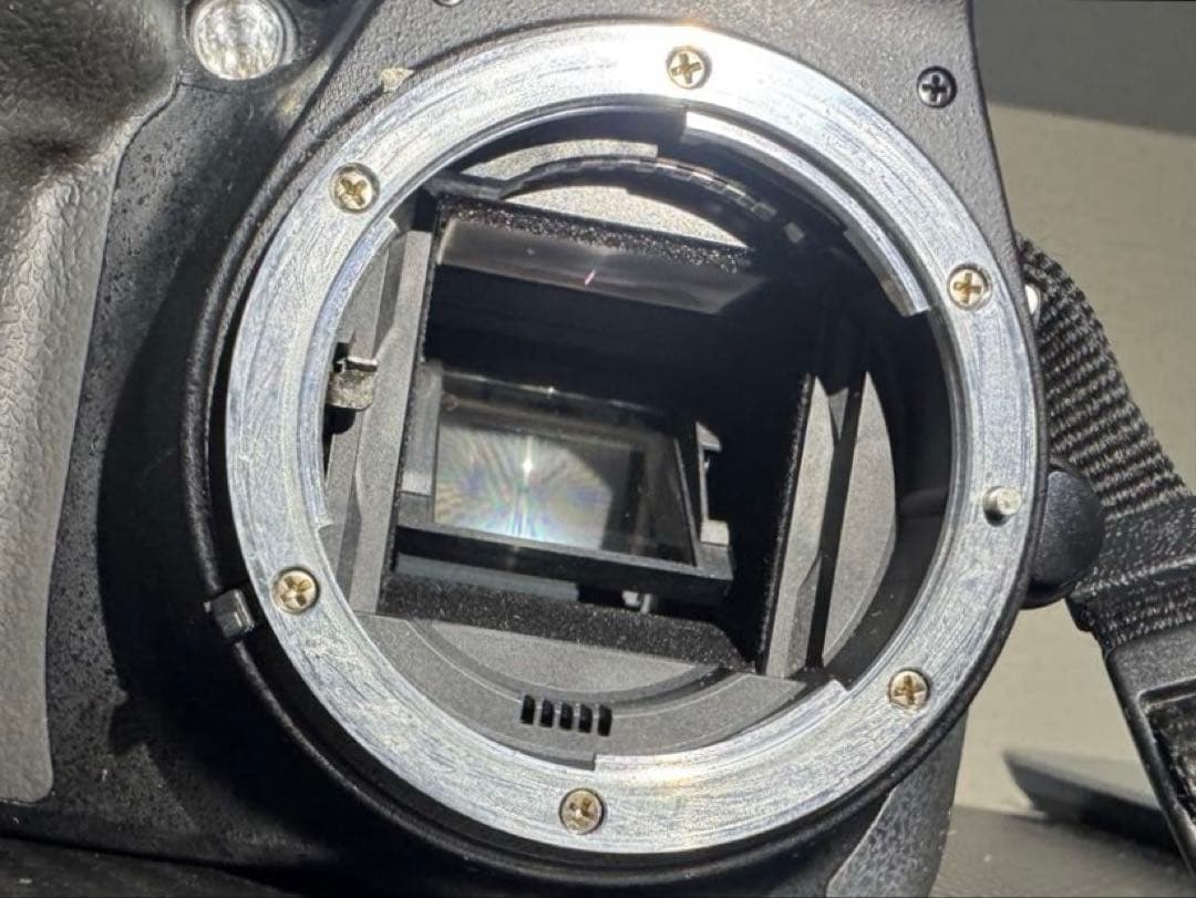 デジタルカメラ Nikon D5300