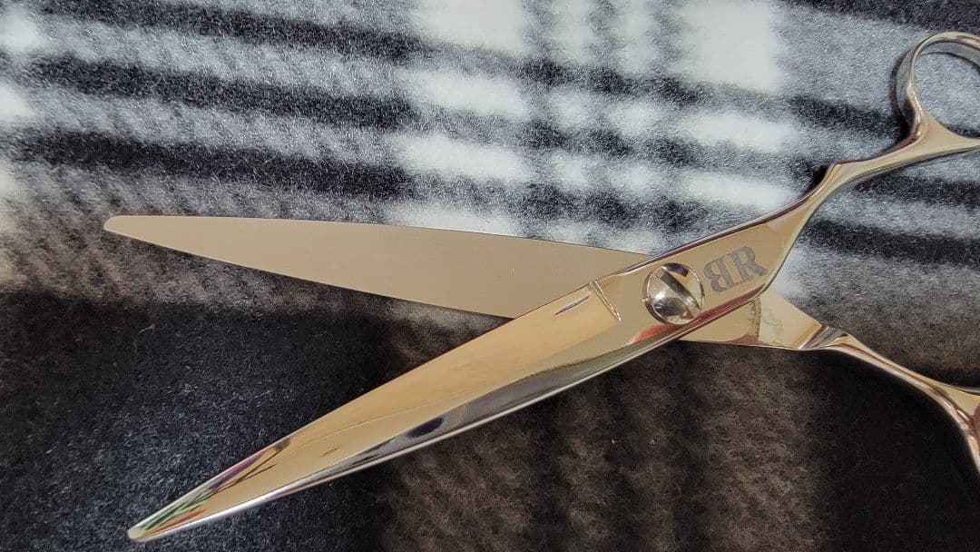 ④　ネットワーク　シザー　BR6.3