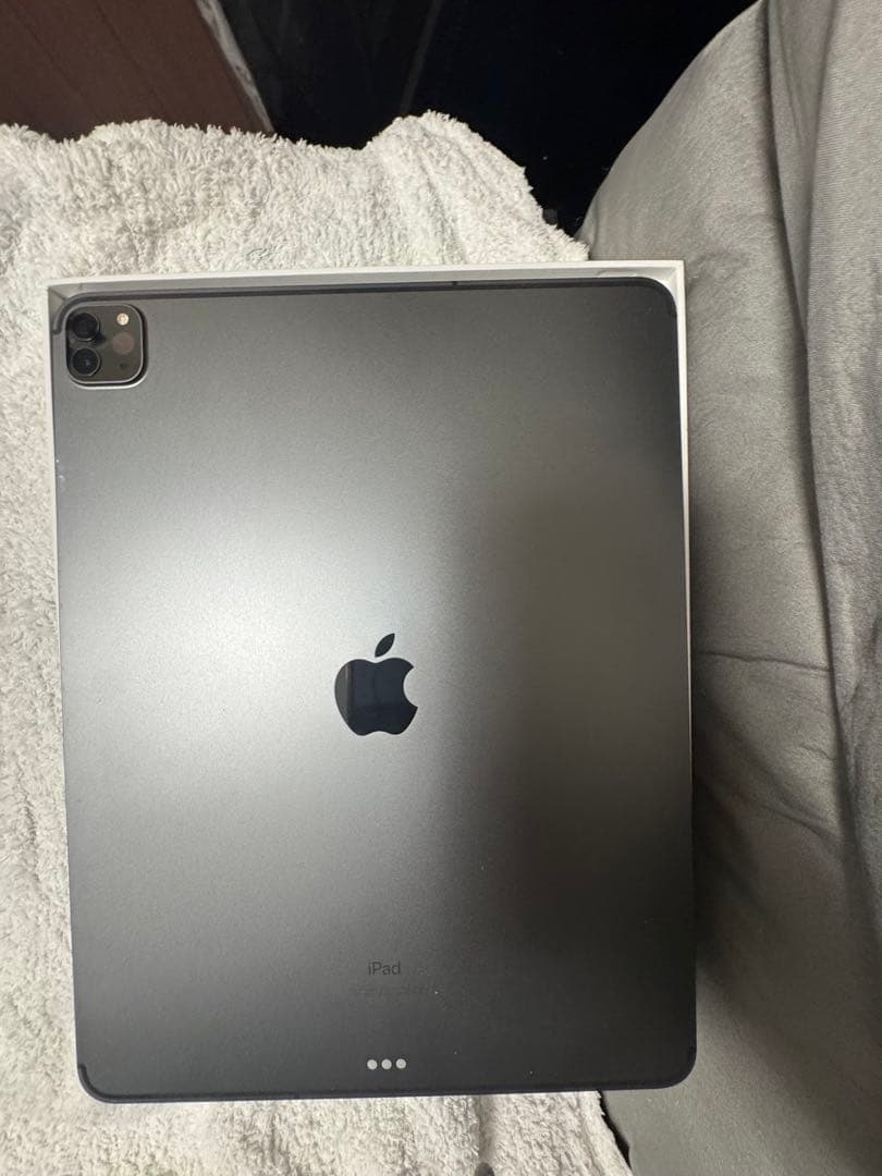 アップル iPad Pro 12.9 インチ 第4世代 256GB ス