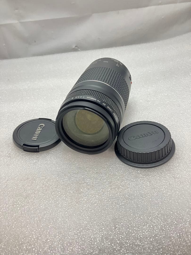 CANON純正定番望遠レンズ EF75-300mm f/4-5:6III型