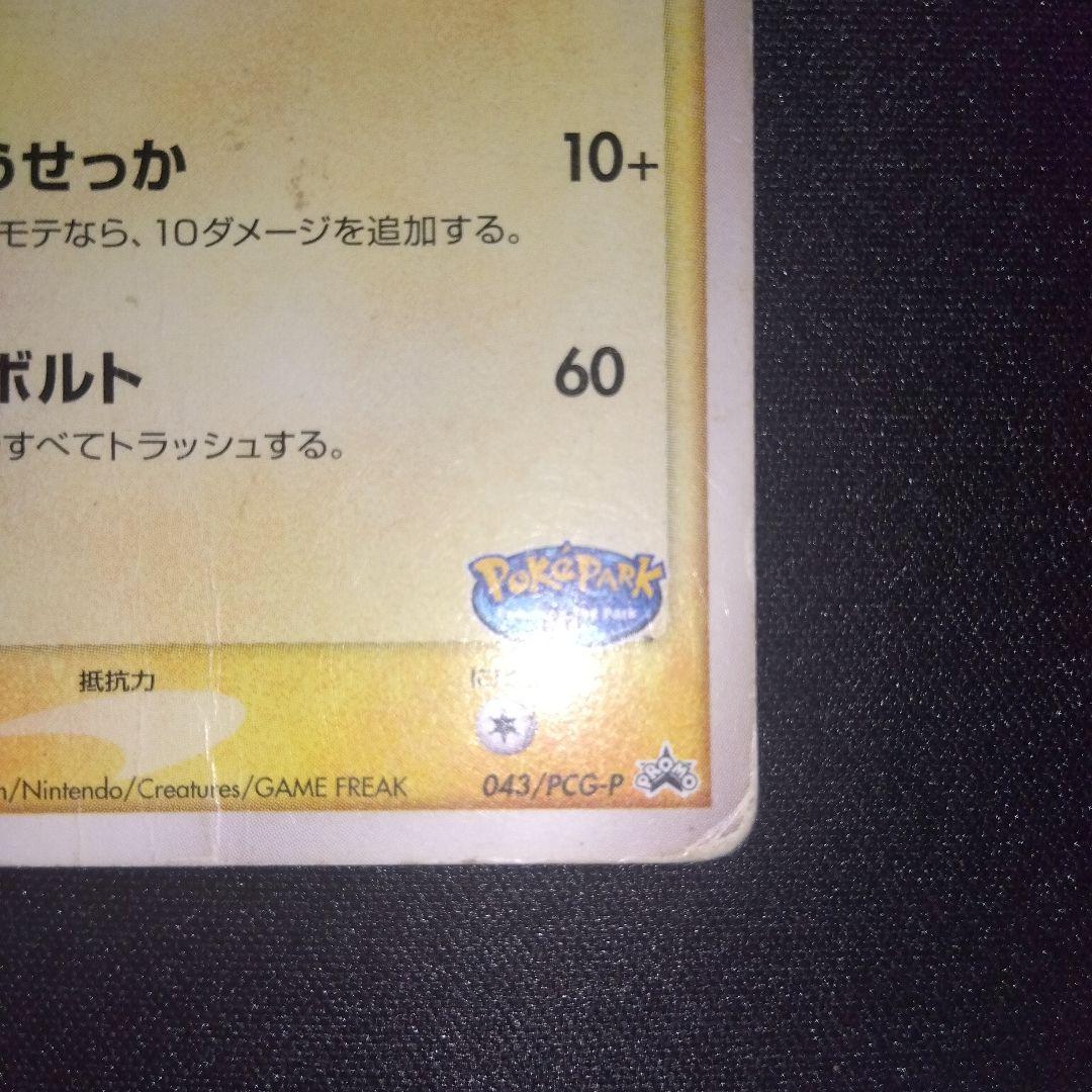 ポケパーク　グラードン　ゴンベ　ピカチュウ　3枚セット