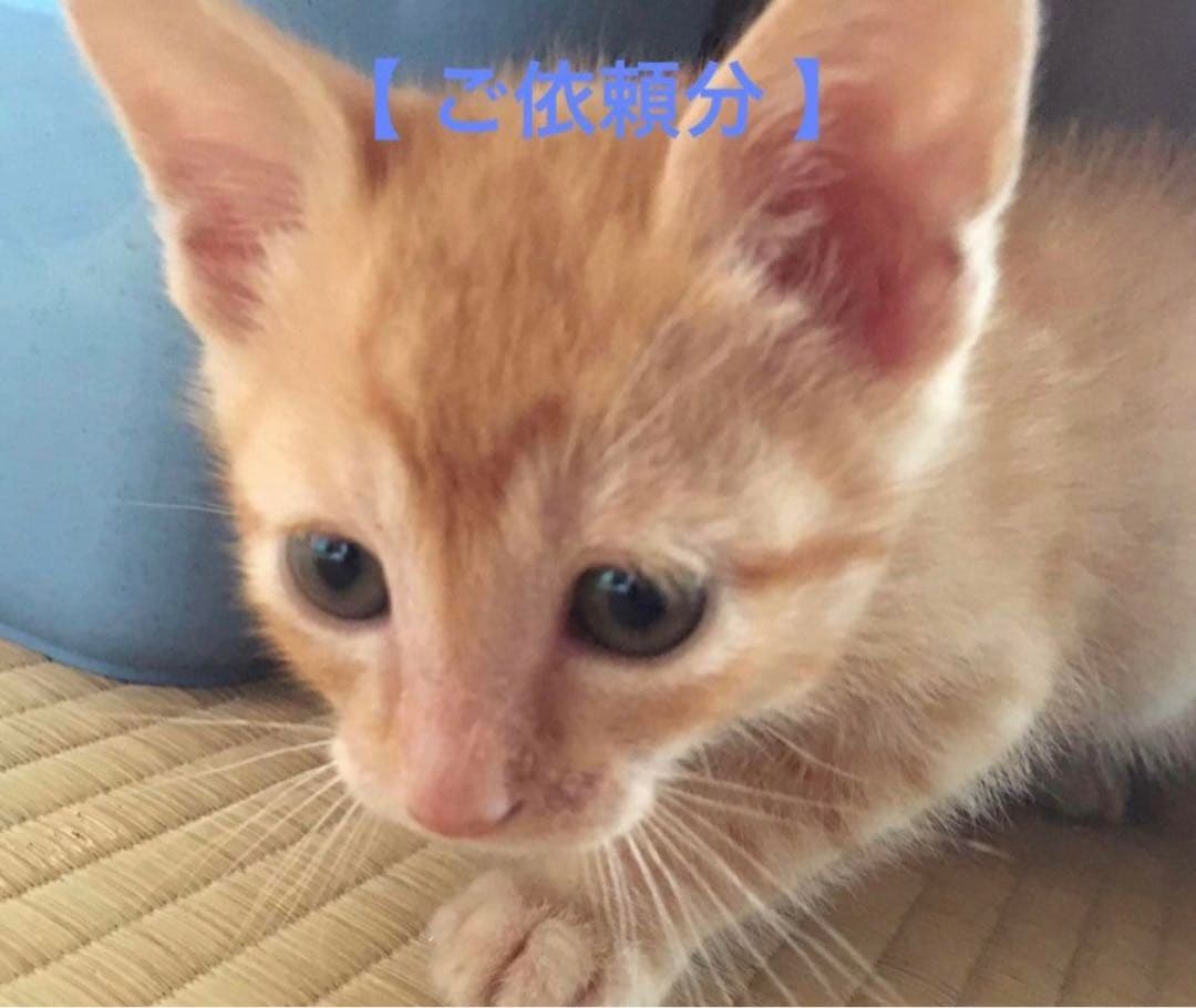 【 クリシュナ 様 】