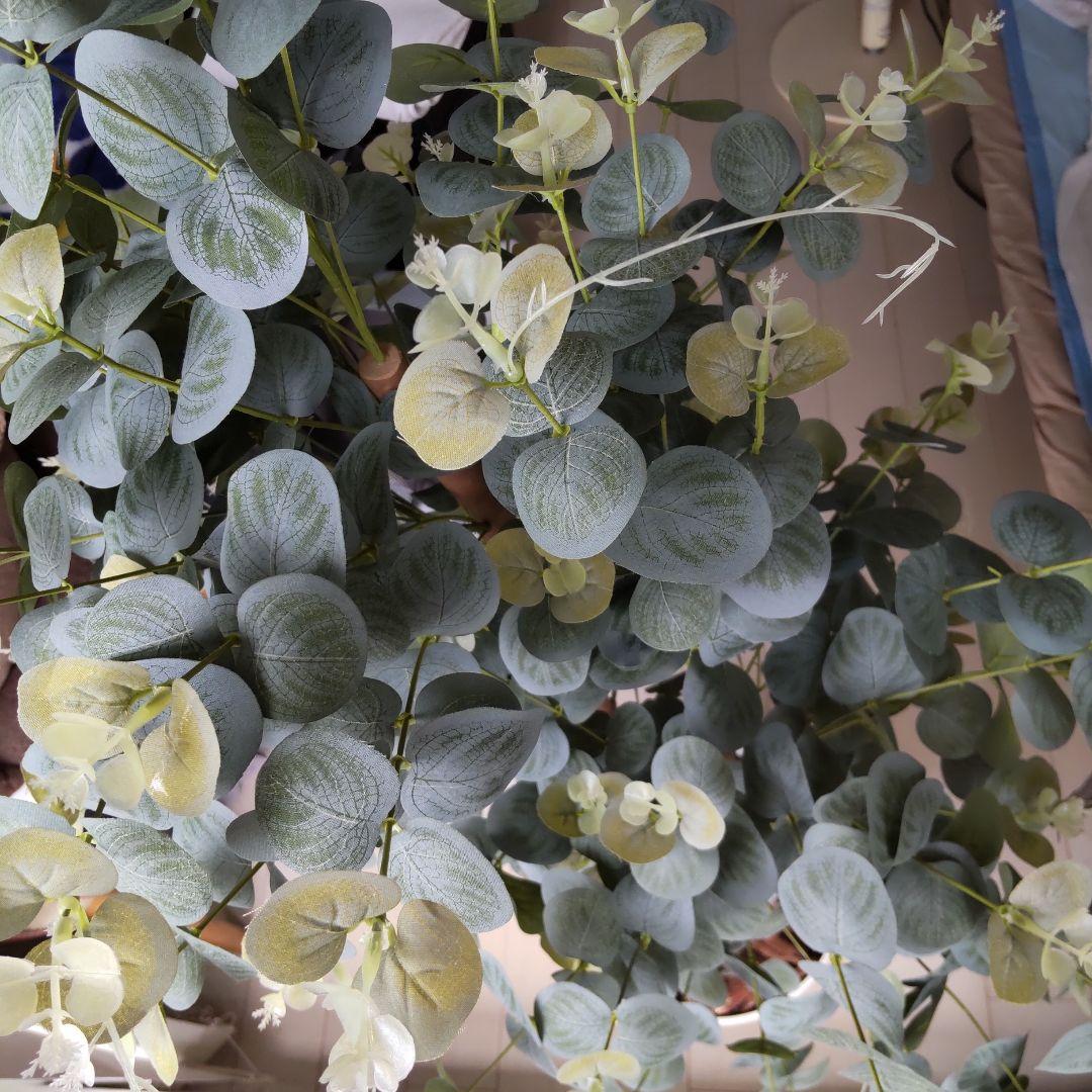 ユーカリの木130cm タイプ！銀丸葉 ！ 大型フェイクプランツ！ 未使用！