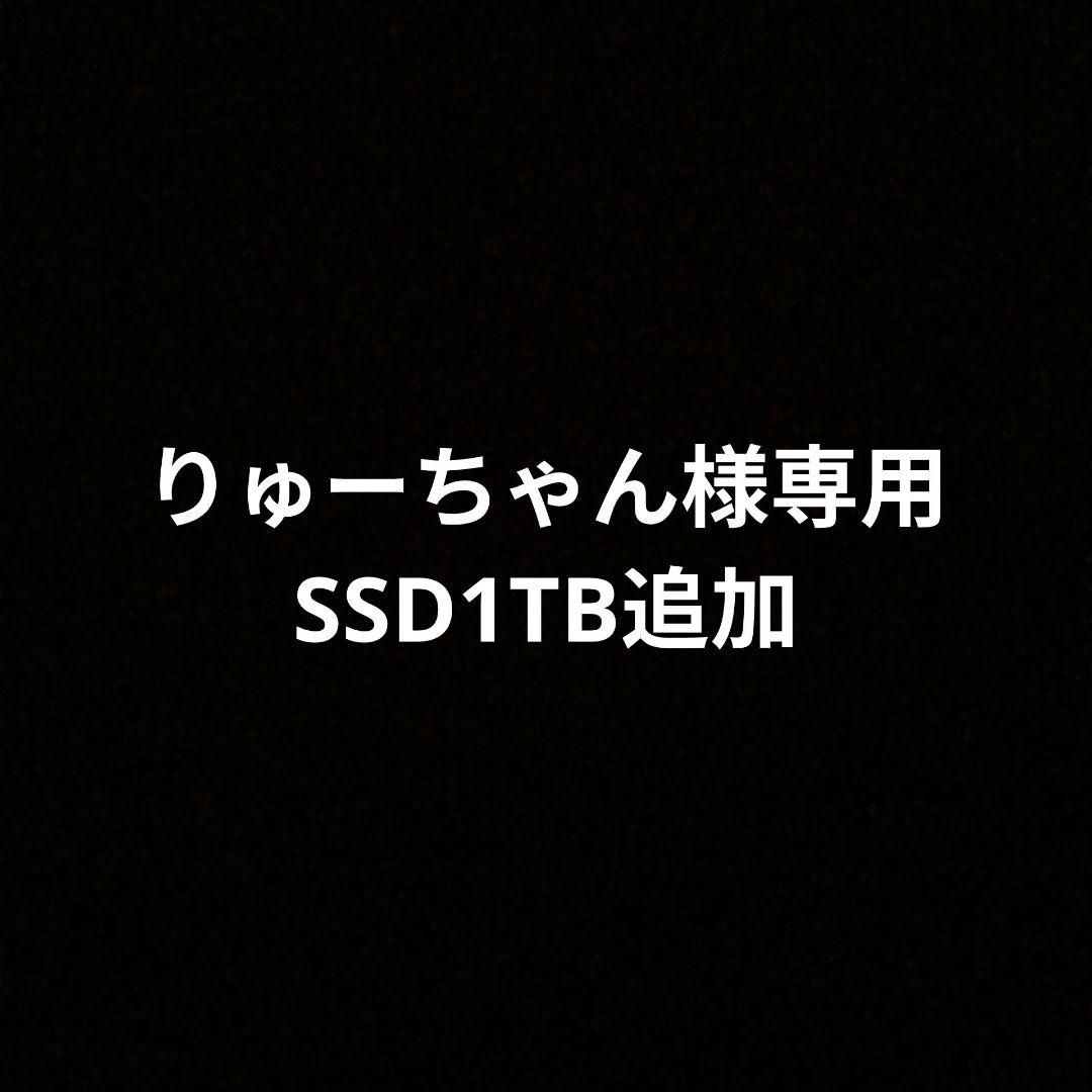 りゅーちゃん SSD 1TB追加