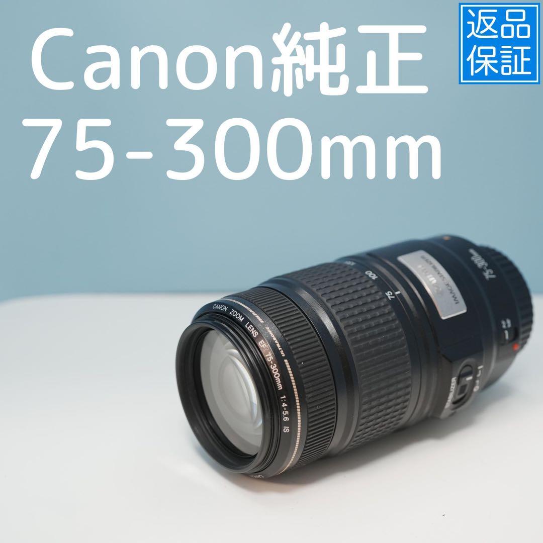 Canon純正 75-300mm 望遠レンズ a3940