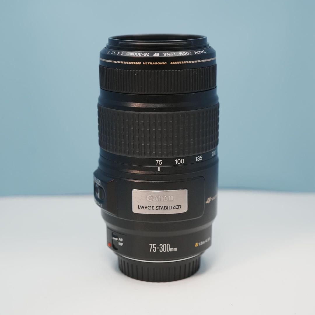 Canon純正 75-300mm 望遠レンズ a3940