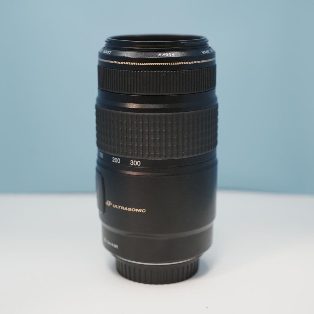 Canon純正 75-300mm 望遠レンズ a3940