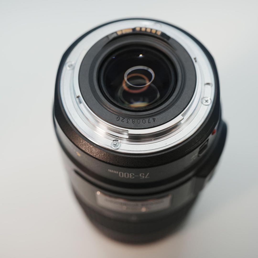 Canon純正 75-300mm 望遠レンズ a3940