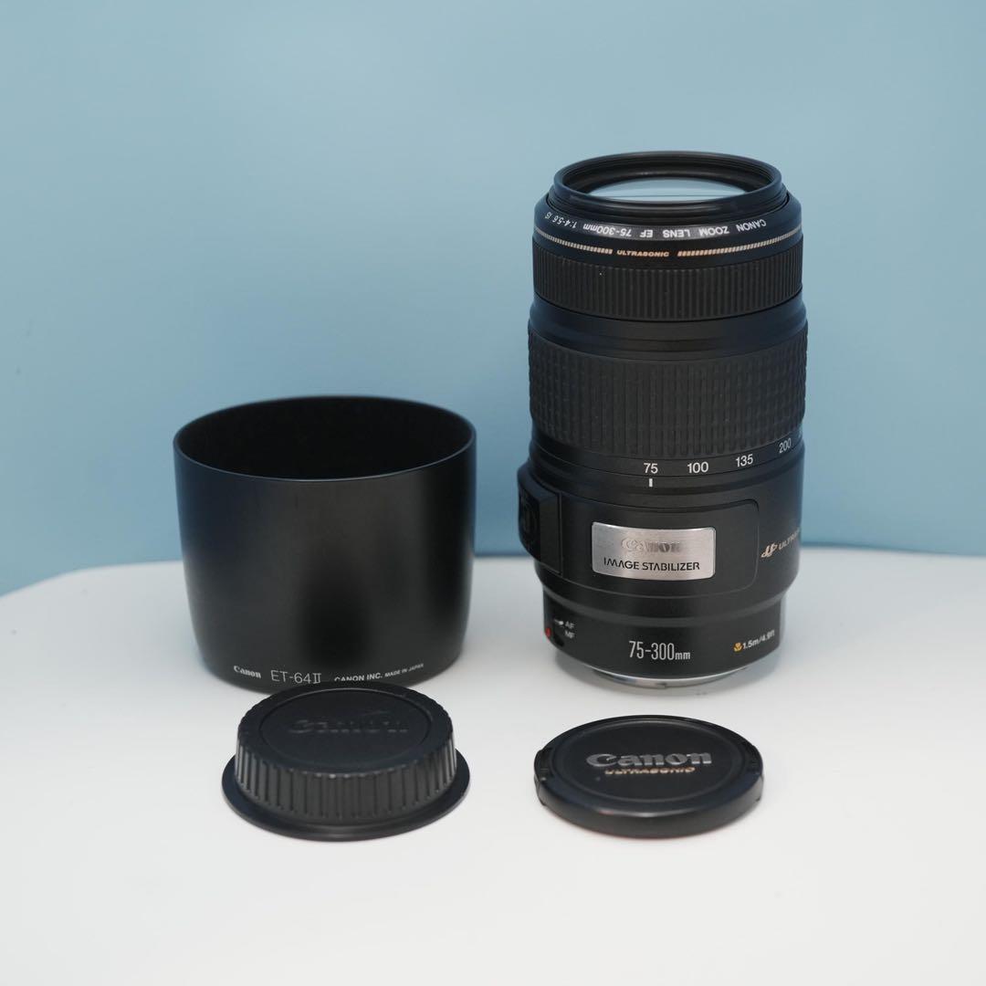 Canon純正 75-300mm 望遠レンズ a3940