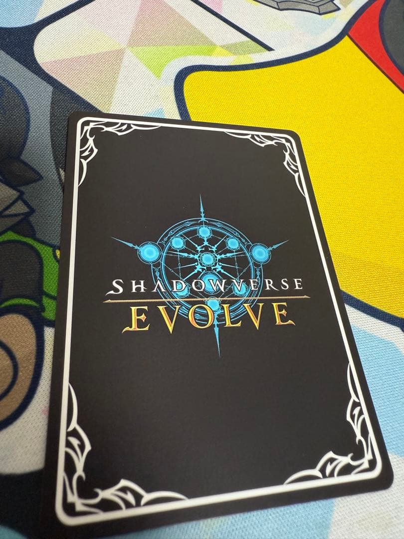 渚の花嫁 新田美波