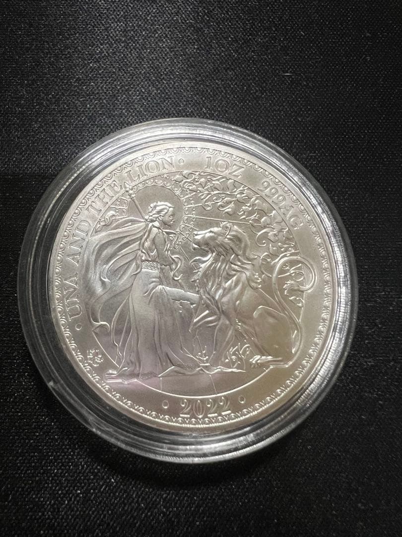 2022年　ウナとライオン1オンス銀貨　⑥