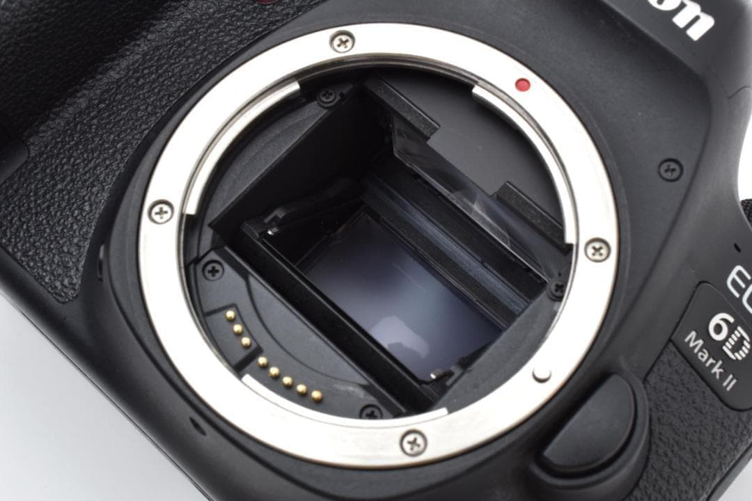 ★極上品★Canon EOD 6D Mark II キヤノン フルサイズ ボディ
