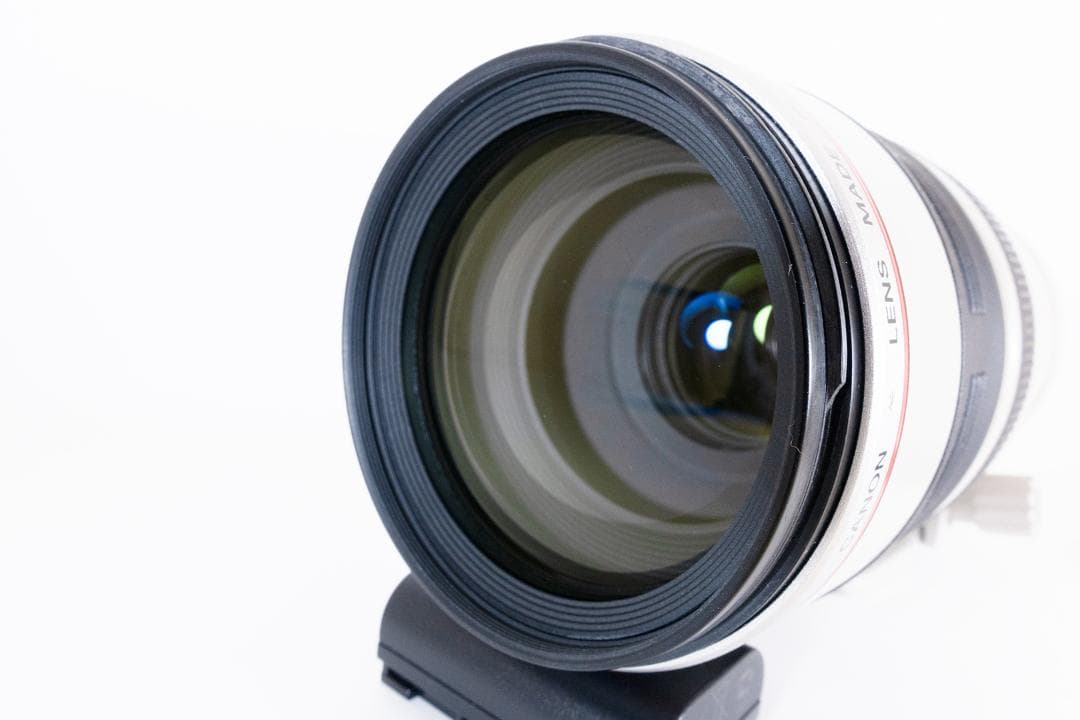 Canon EF100-400mm F4.5-5.6L IS USM ケース付き