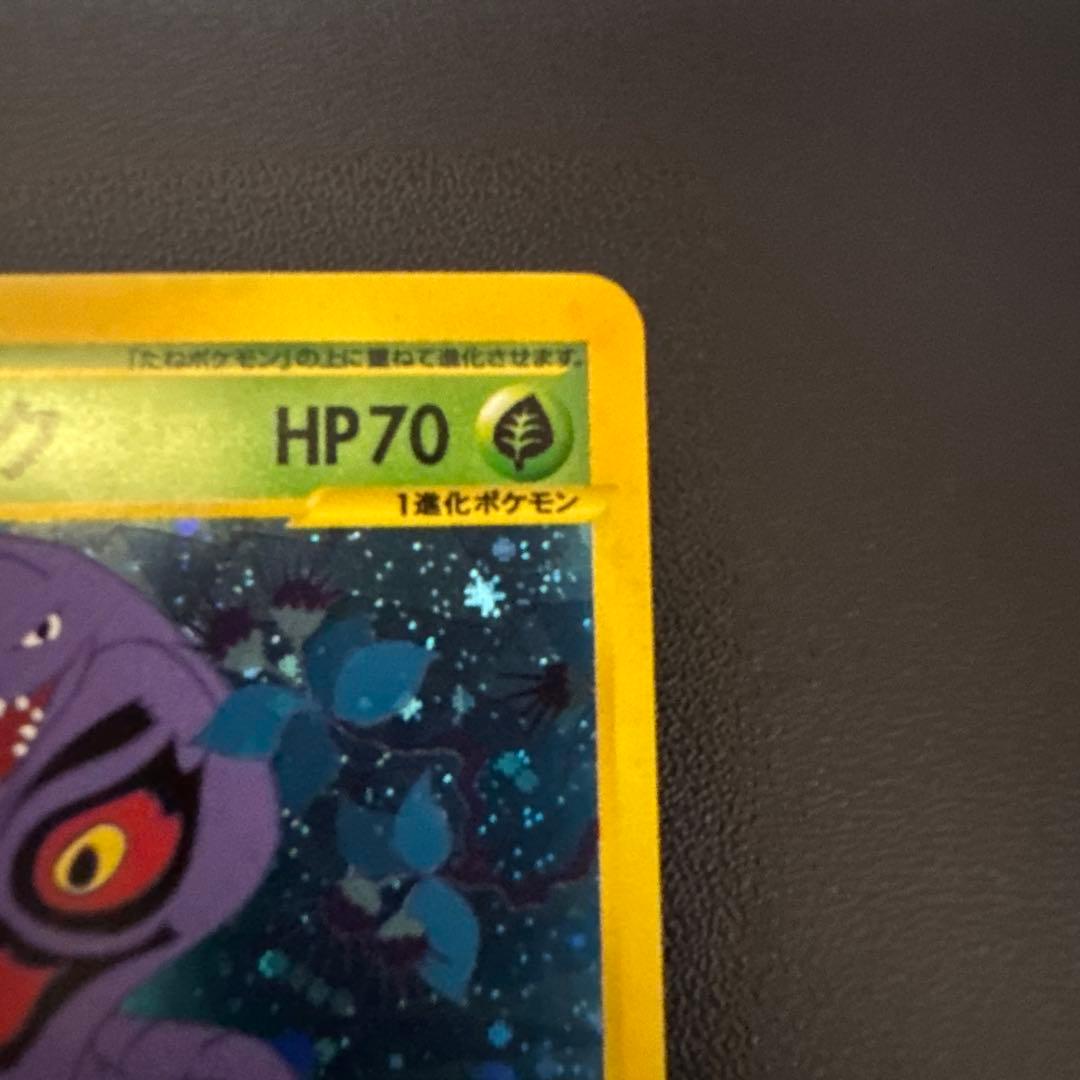 ポケモンカード　アーボック　ラフレシア　eカード 今日限り値下げ