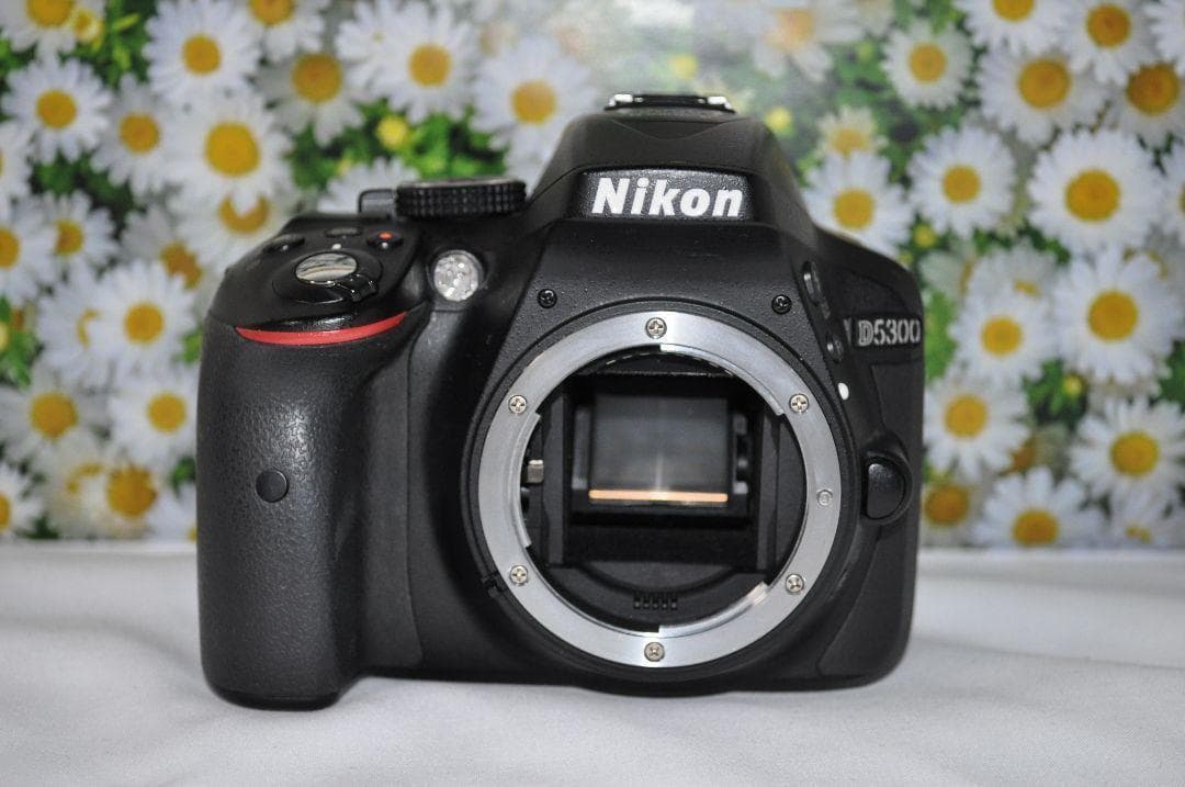 ❤️Wi-Fi搭載でスマホ転送❤️自撮り❤️Nikon D5300❤️超高性能