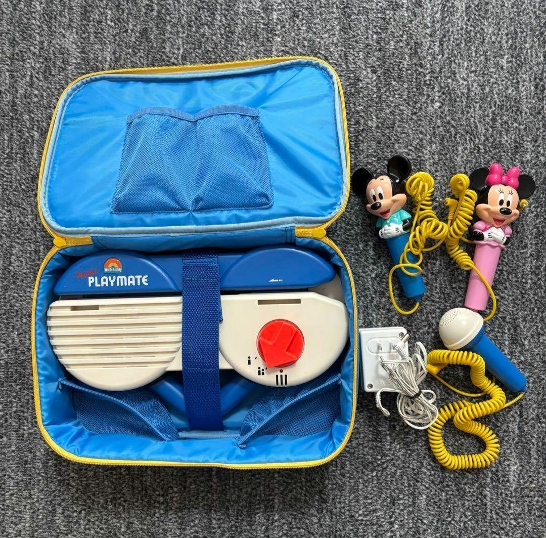 O*様 【連休中値下げ★】DWE　2018年ごろ　トークアロングセット　両面デジ