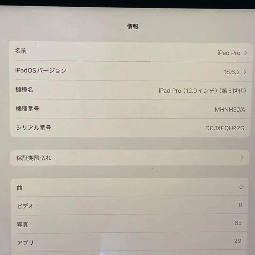 【美品/M1】iPad Pro \"12.9インチ\" 第5世代 256GB