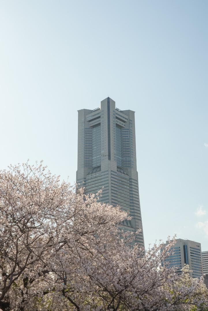 tadashi様　小西六 HEXAR 50mm F3.5 オールドレンズ