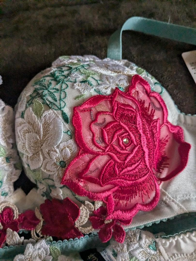 。はしはし様。サルート16グループ、フロントエックスブラD70、ショーツL。