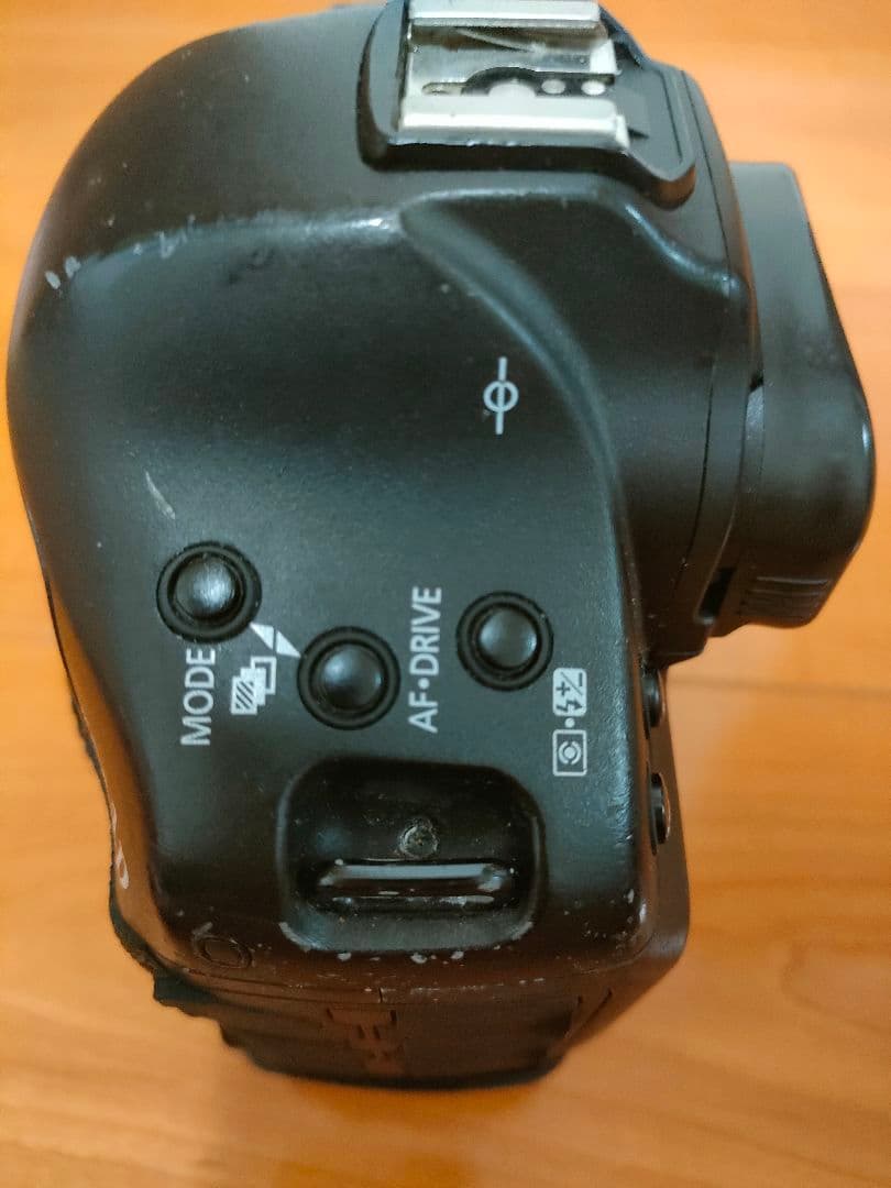 EOS-1DX フルサイズ