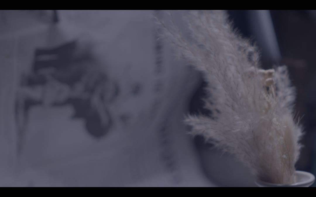 レンズ(単焦点) Meyer Optik Gorlitz Primotar 135mm f3.5