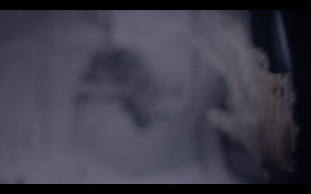 レンズ(単焦点) Meyer Optik Gorlitz Primotar 135mm f3.5