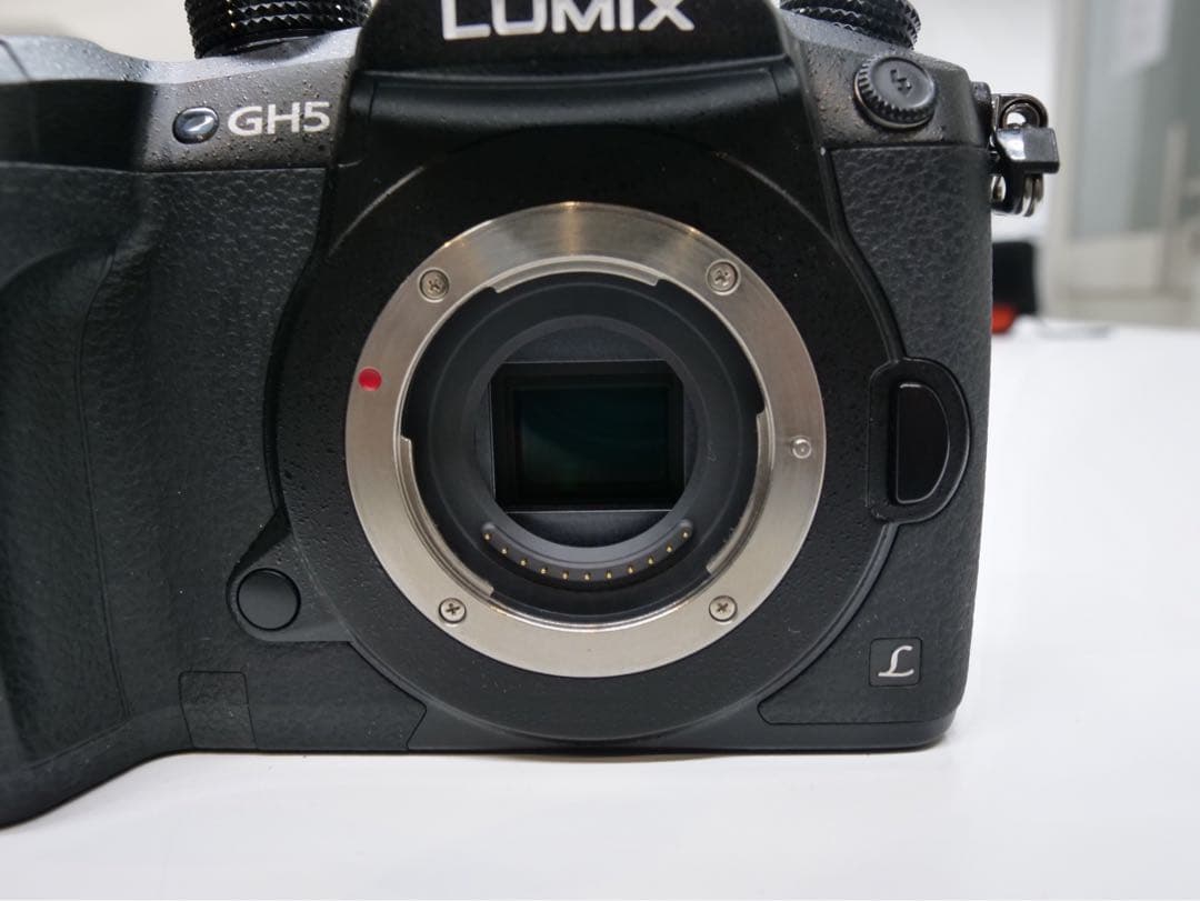 GH5 V-Log済 動画撮影セット（マイク・バッテリー3個＋給電アダプター）