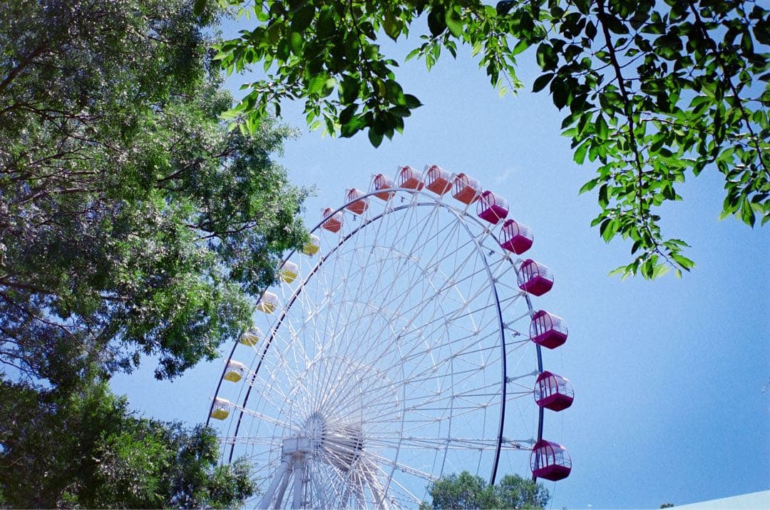 CONTAX T コンタックス フィルムカメラ 初代 動作品 作例あり