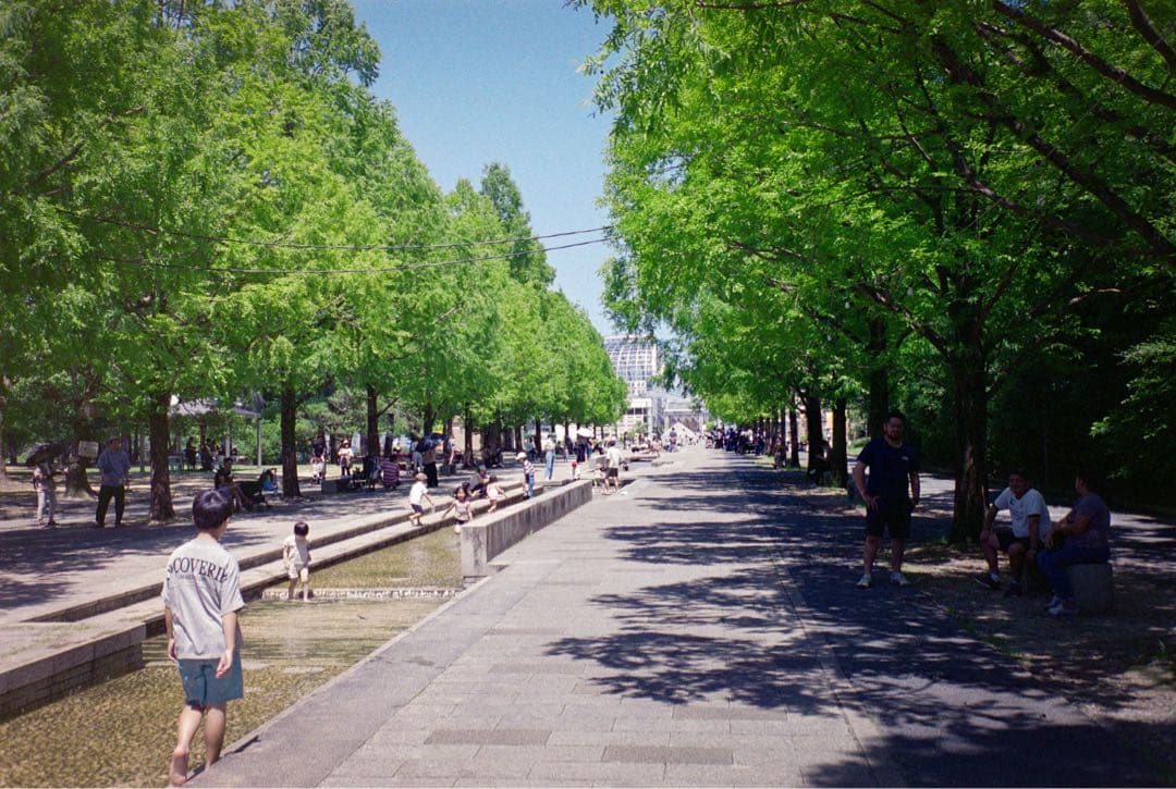 CONTAX T コンタックス フィルムカメラ 初代 動作品 作例あり