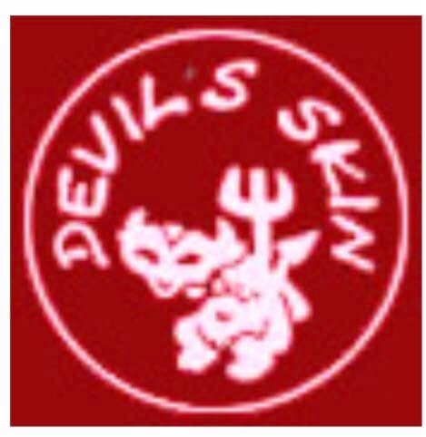 ◆希少◆スタッズベルト　デビルスキン　皮