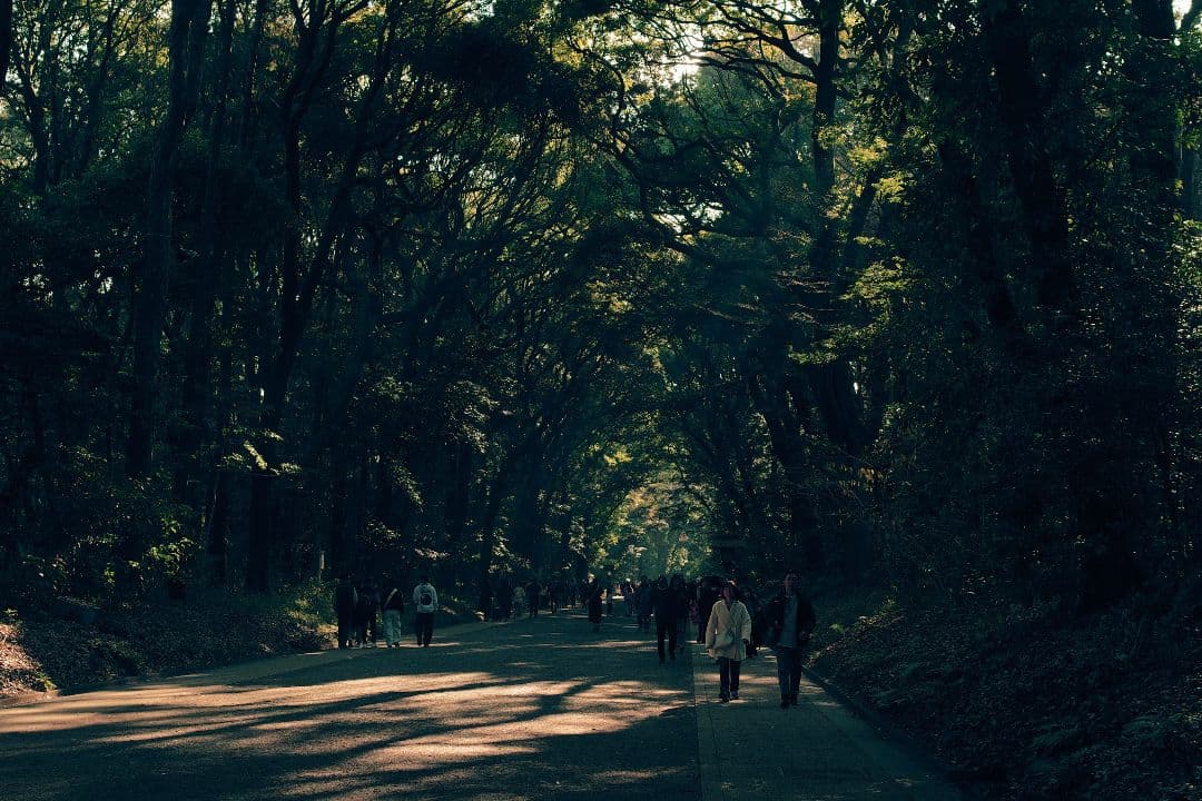 デジタルカメラ PENTAX K-3 Mark III + HD 20-40mm Limited