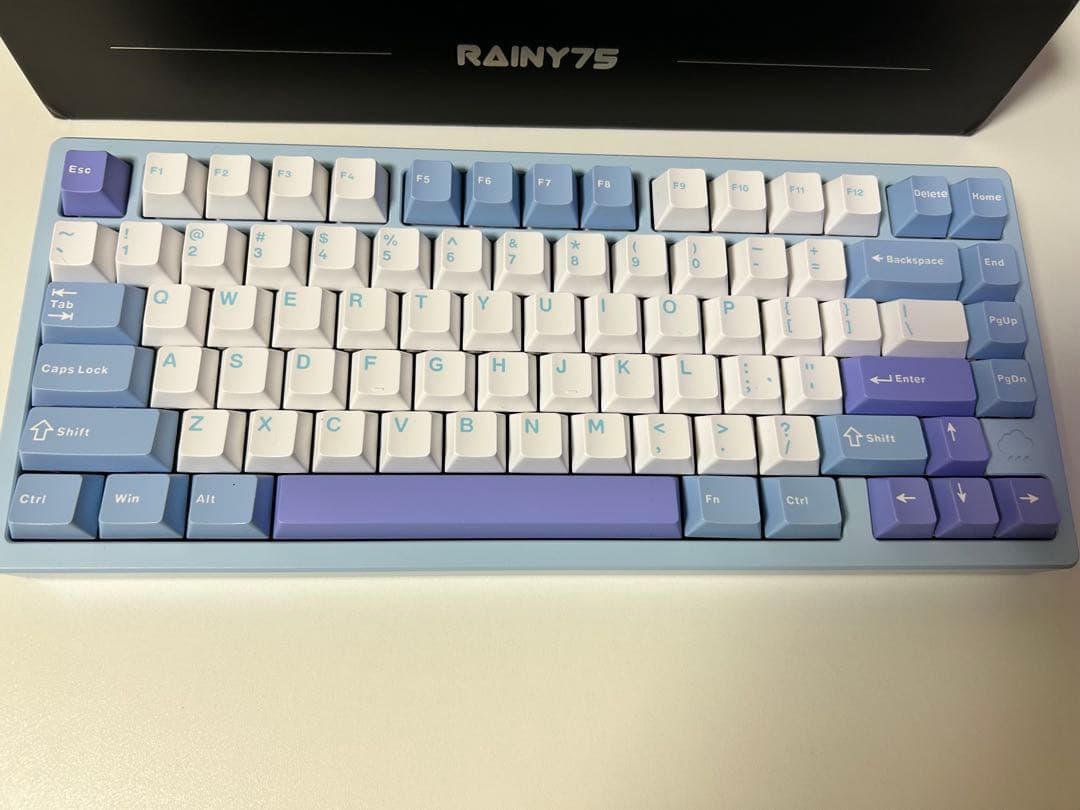 Rainy75（Pro仕様キーキャップ・FR4プレート換装済み）