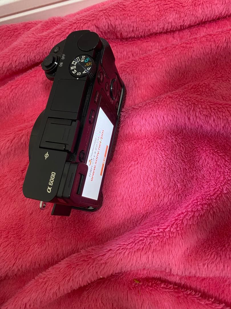 SONY α6000 E 18-200mm レンズ付き