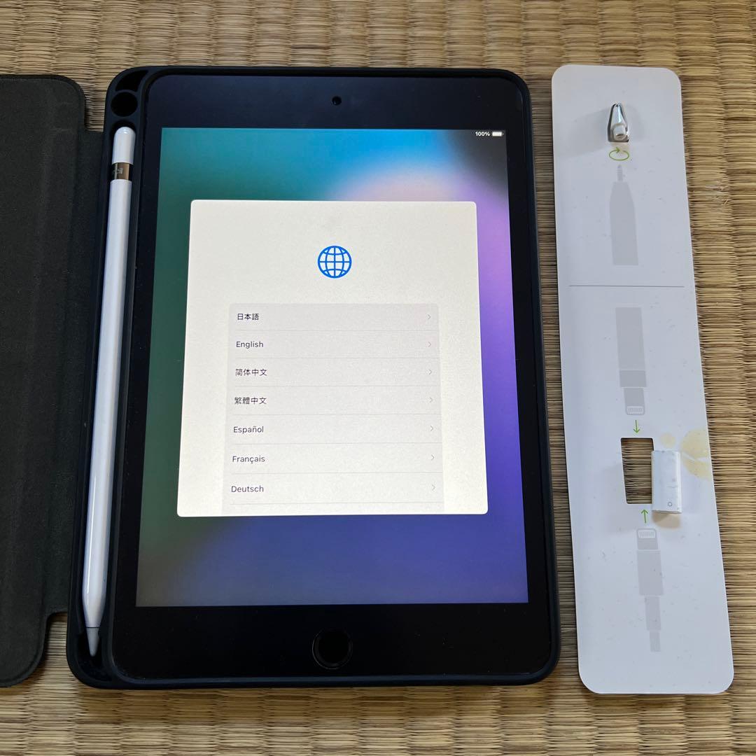 iPad mini 5 スペースグレイ 初期化済み