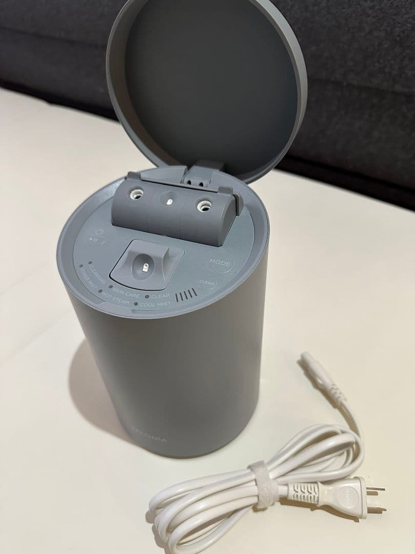 SALONIA ピュアブライトスチーマー グレー