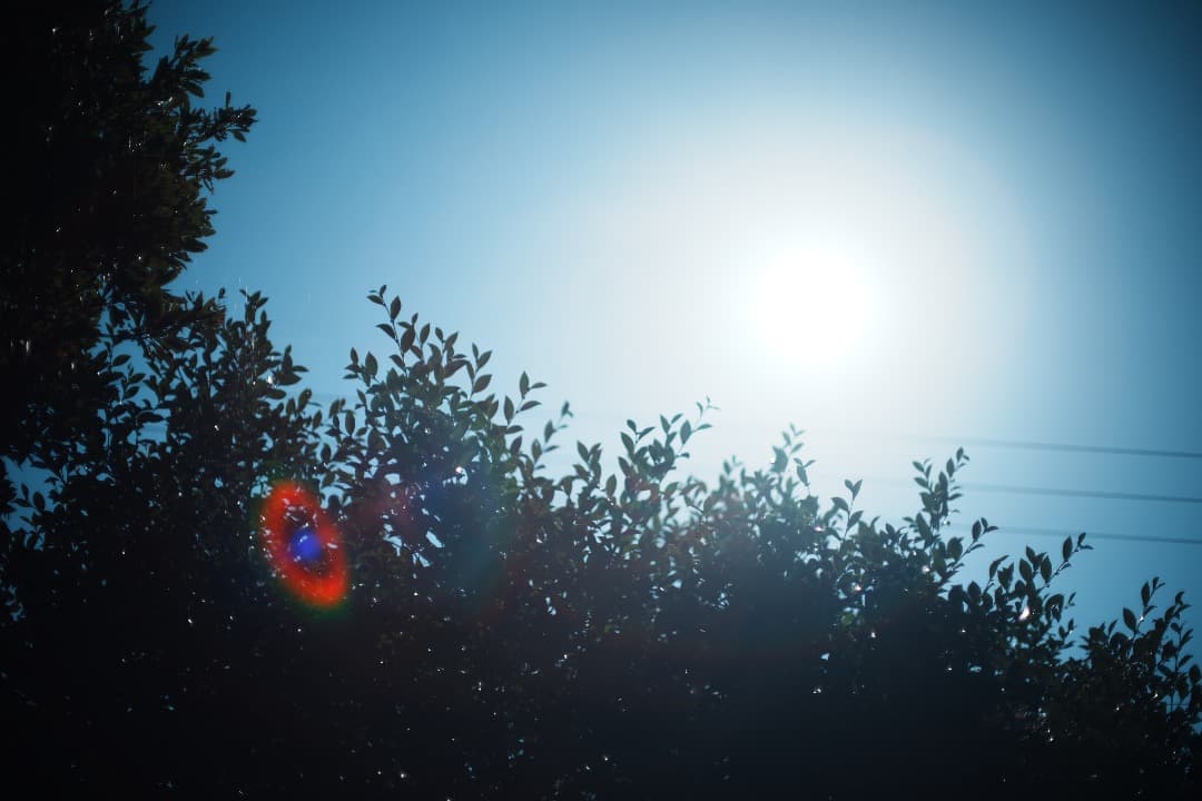 【ほぼライカ】動作◎ MD ROKKOR 50mm F1.4 ミノルタ 495