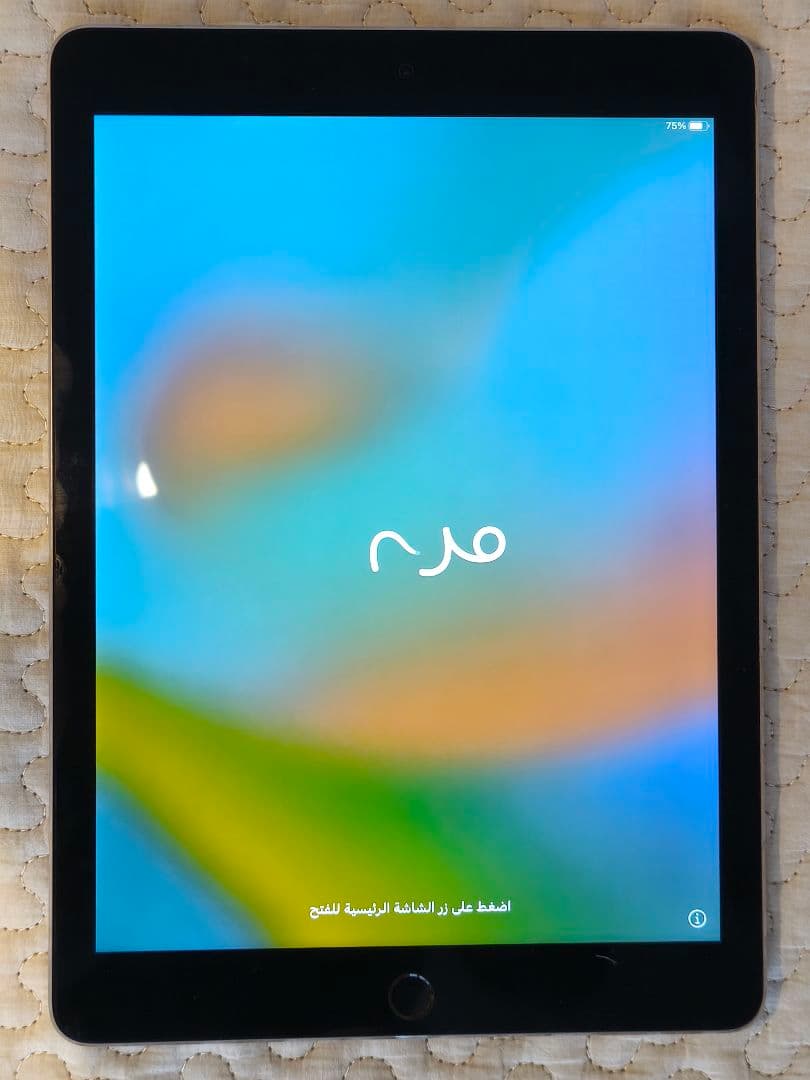 Apple iPad Pro 9.7インチ 256GB シルバー