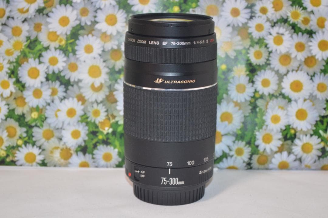 ❤美品❤ Canon EF 75-300mm F/4-5.6 III USM❤