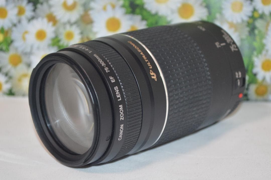 ❤美品❤ Canon EF 75-300mm F/4-5.6 III USM❤