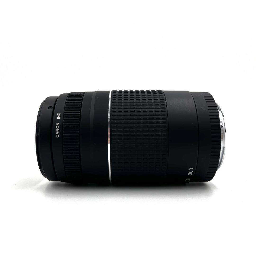 望遠レンズ Canon EF 75-300mm F4-5.6 USM #216