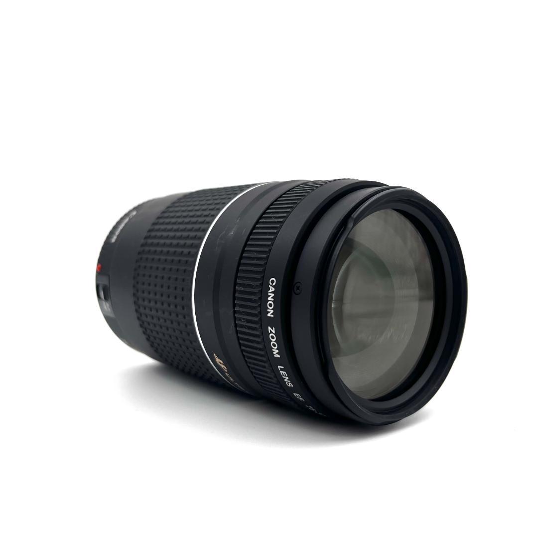 望遠レンズ Canon EF 75-300mm F4-5.6 USM #216