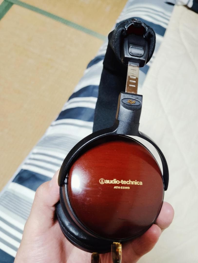 ヘッドホン Audio Technica ATH-ESW9