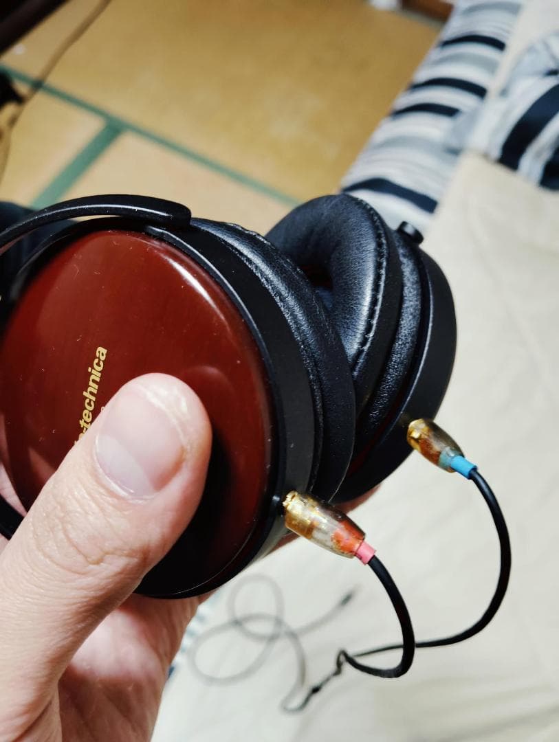 ヘッドホン Audio Technica ATH-ESW9