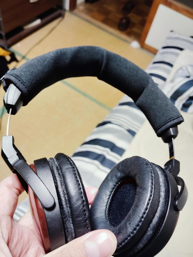 ヘッドホン Audio Technica ATH-ESW9
