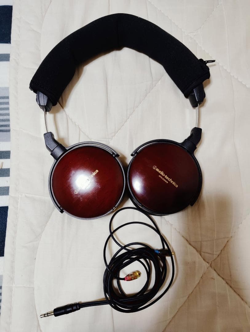 ヘッドホン Audio Technica ATH-ESW9