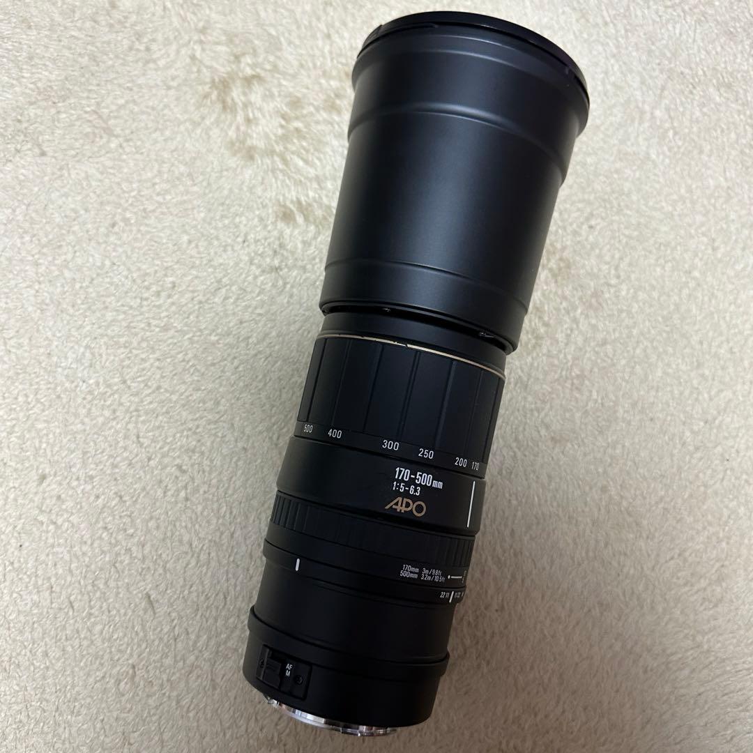 T*.様 SIGMA 170-500mm f/5-6.3 APO CANONジャ