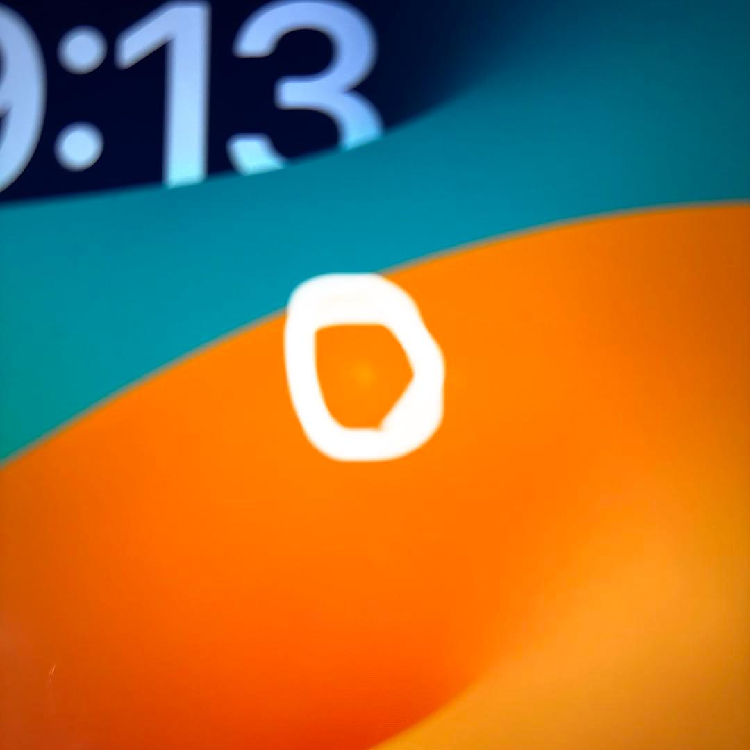 達*様 【★ホワイトスポット有】iPad Pro 10.5インチ 64GB