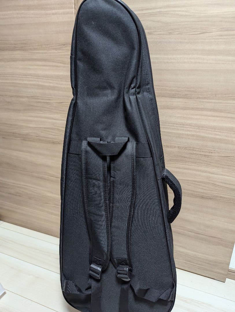 Donner Rising G-1 カーボントップ アコースティックギター