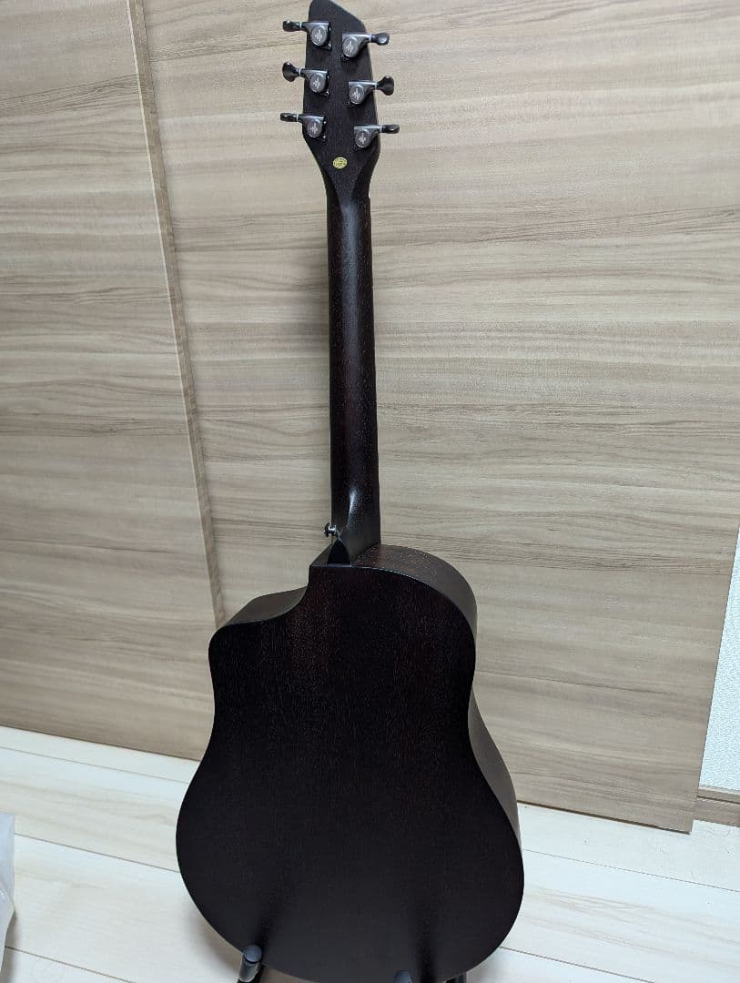 Donner Rising G-1 カーボントップ アコースティックギター